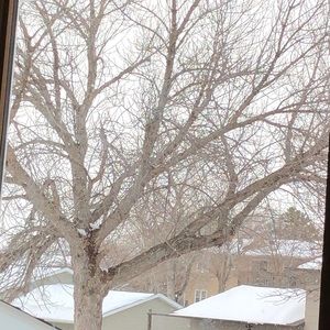 Meet your Posher, Cara